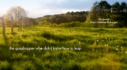 خیلی خیلی کوچک (2) (ملخی که بلد نبود بپرد)